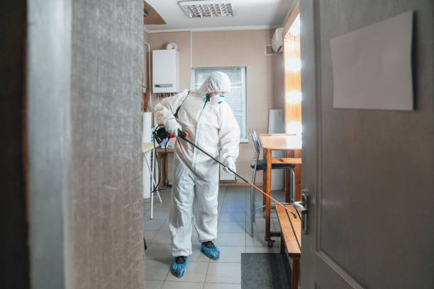 Best Environmental Consulting for Mold Prevention  in Abingdon, IL