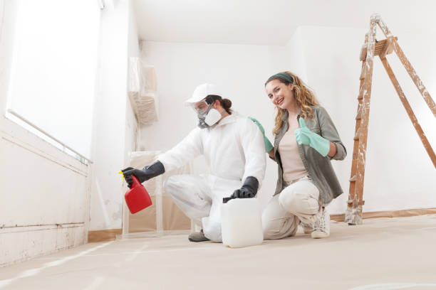 Best Commercial Mold Inspection  in Abingdon, IL